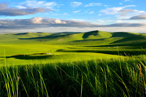 中國最美的草原：呼倫貝爾大草原